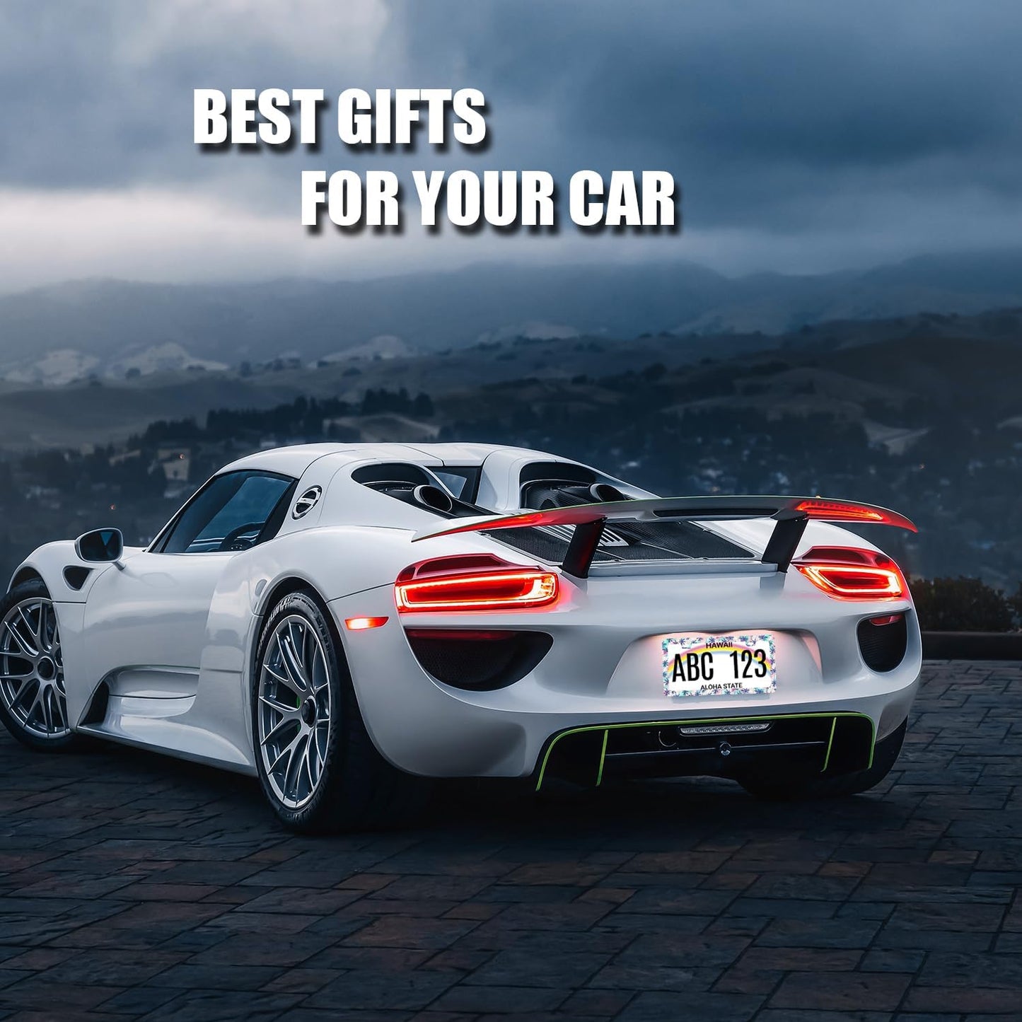 Plam Trees License Plate Frame Hawaii Tropical Leaves License Plate Holder Funny License Plate for Car Decoration Stainless Steel Colorful Auto Parts with Screws for Men Women 12.3" x 6.3"