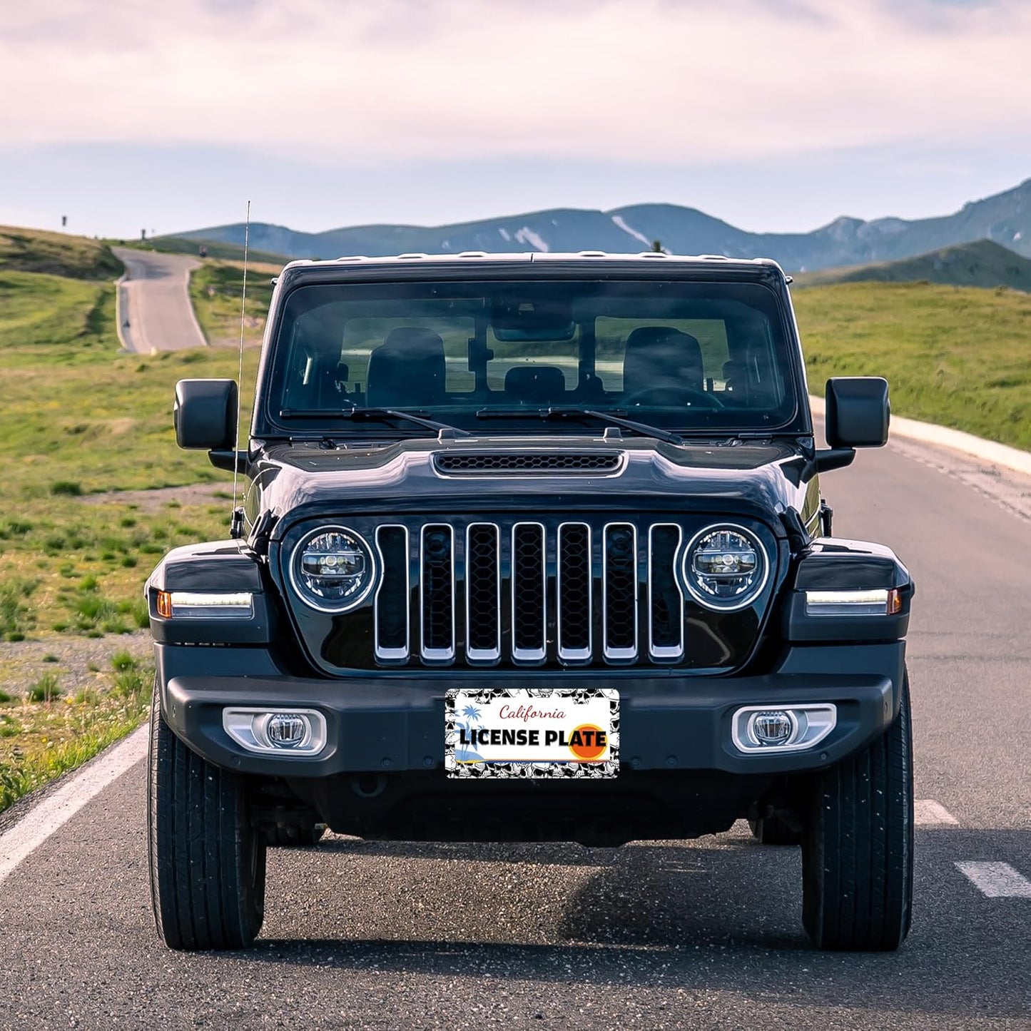 Skull License Plate Frame Black White Skeleton Stainless Steel License Plate Holder for Front or Rear Car Tags Funny for Car Decoration Accessories with Screws 6.3 X 12.2 in for Women Men