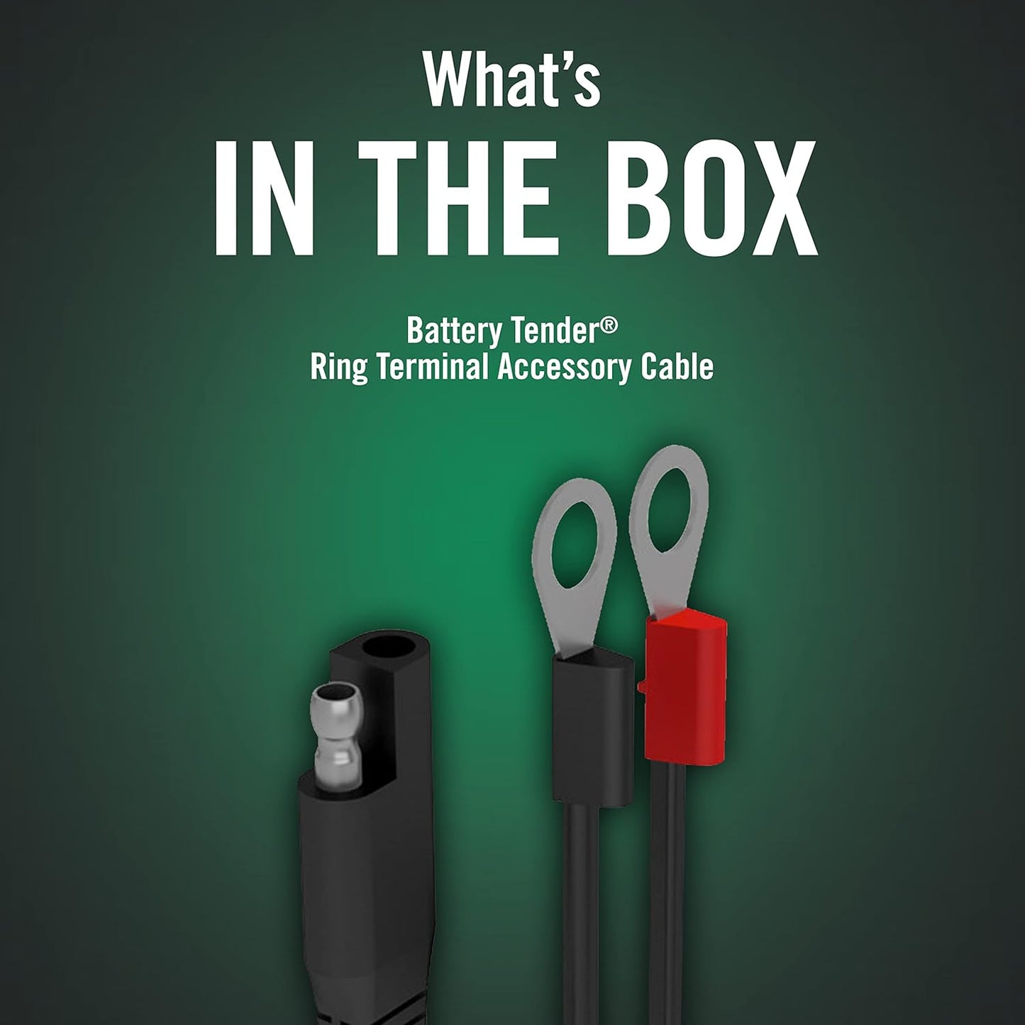 Battery Tender Ring Terminal Harness Accessory Cable - 18 inch Cord Adapter with SAE Quick Disconnect - Easy Quick Convenient for Motorcycles, Cars, ATVs and More - 081-0069-6