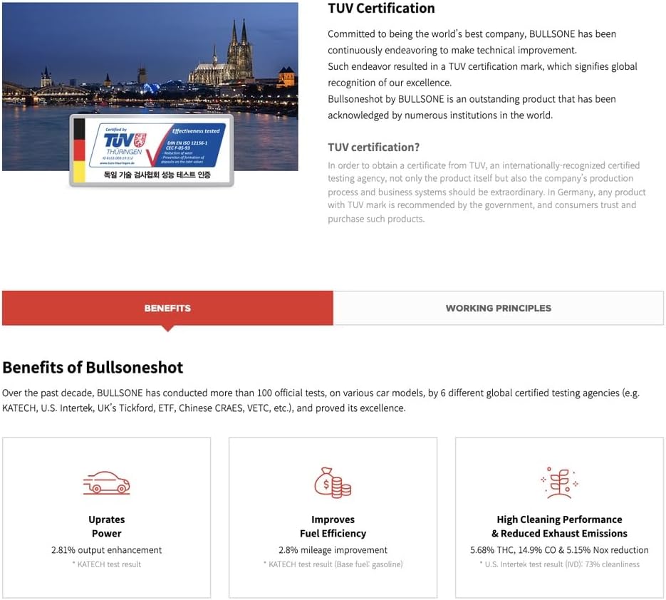 2 Pack Bullsoneshot Standard Total Fuel System Cleaner & Fuel Additive for Gasoline Engine