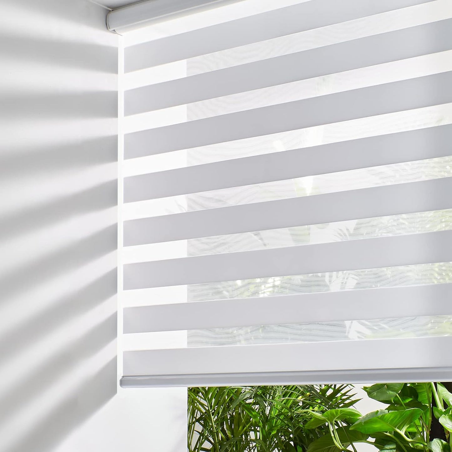 Persilux Cordless Zebra Blinds for Windows Free-Stop Roller Windows Shades (46" W X 72" H, White) Dual Layer Light Control for Day and Night, Light Filtering Sheer Shades for Home, Easy to Install