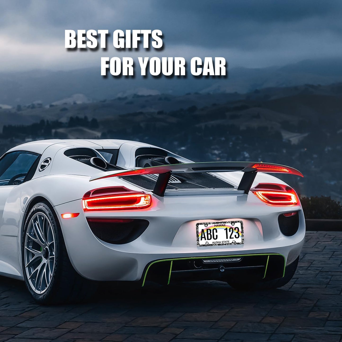 Black and White Paisley License Plate Frame Boho License Plate Holder Stainless Steel Funny Design with 4 Holes and Screws 12.3" x 6.3"