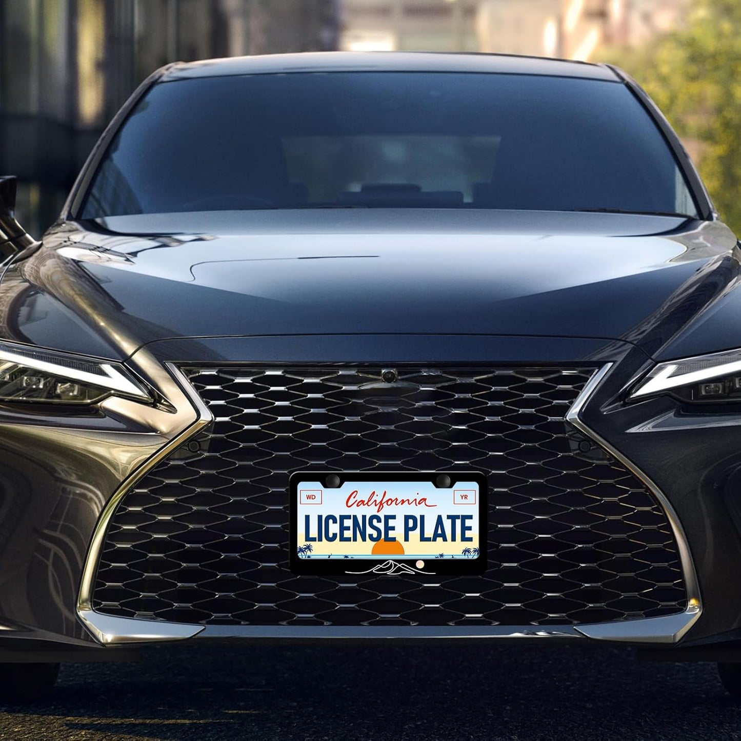 Moon Mountain License Plate Frames - 2 Pack Black Mountain Stainless Steel License Plate Holder,Rust-Proof Waterproof Car Decorative Tag Frame with Screws Fasteners Caps