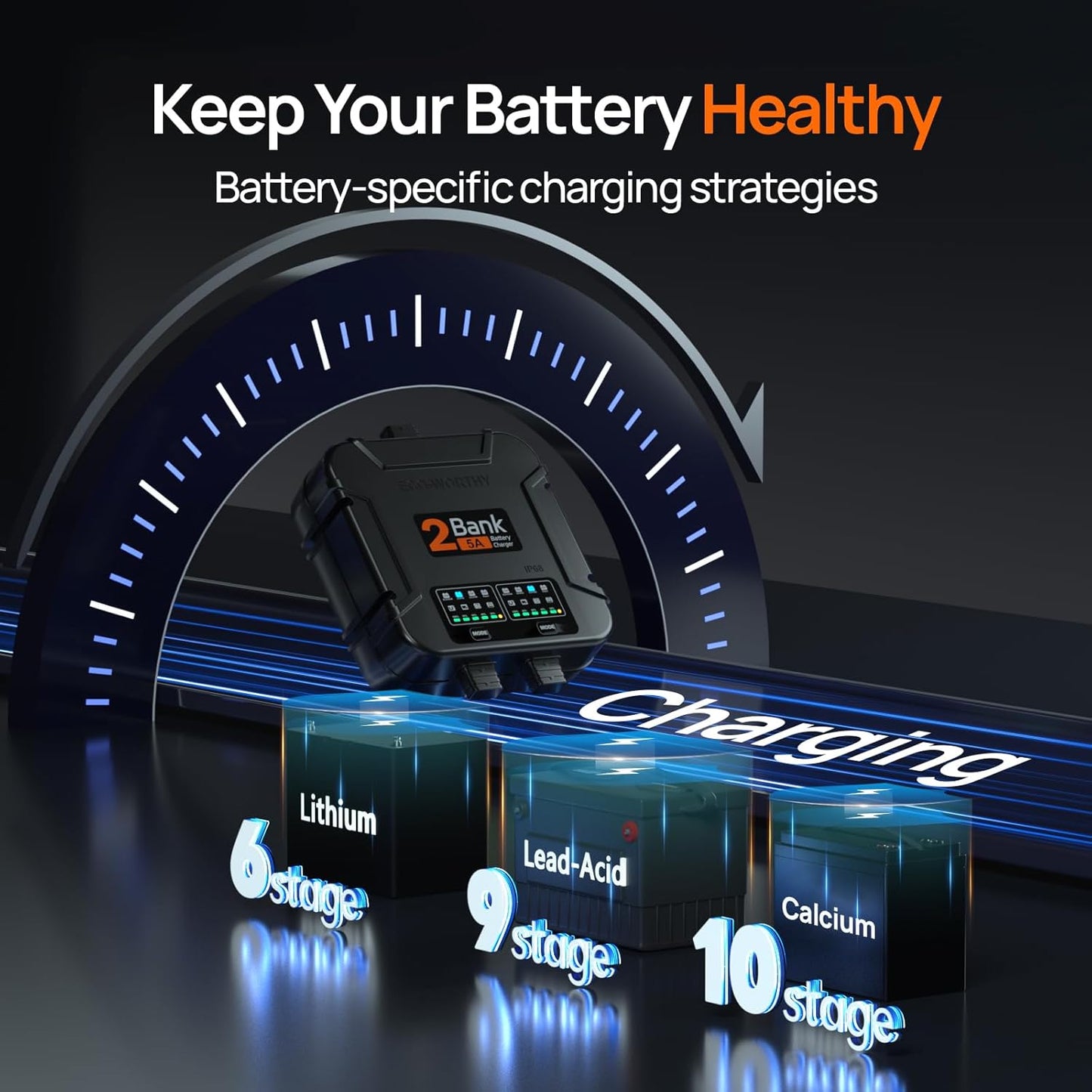 ECO-Worthy 2-Bank Marine Battery Charger 10A (5A/Bank), IP68 Waterproof 12V Charger & Maintainer for Boat RV Car, Lead-Acid LiFePO4 & Calcium Battery Desulfator