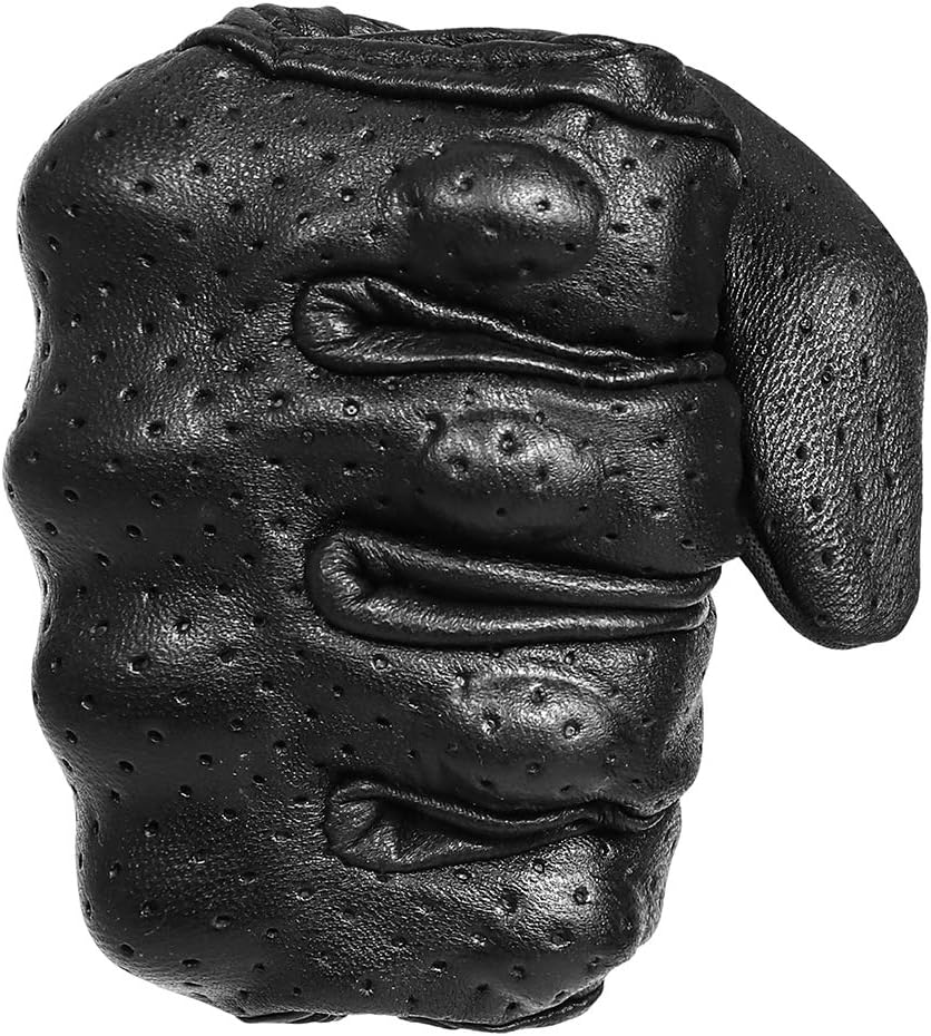 Superbike Full Finger Goat Skin Leather Touch Screen Motorcycle Gloves for Men S,M,L,XL,XXL (Perforated, M)