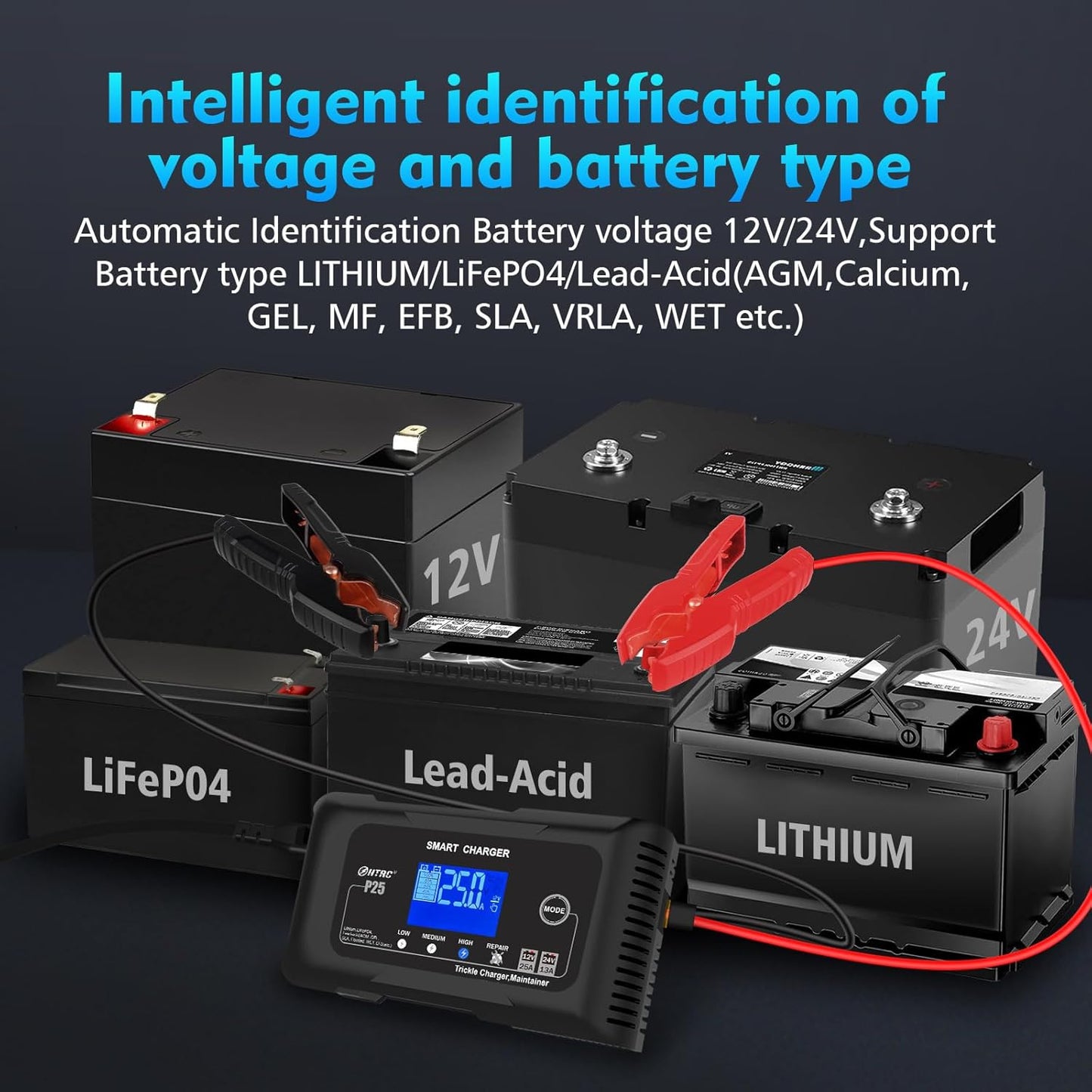 25Amp Lithium Battery Charger, 12V and 24V Lead-Acid (AGM/Gel/SLA) Battery Charger, Battery Maintainer Pulse Repair Charger Trickle Charger Battery Desulfator for Boat, Motorcycle, Golf cart