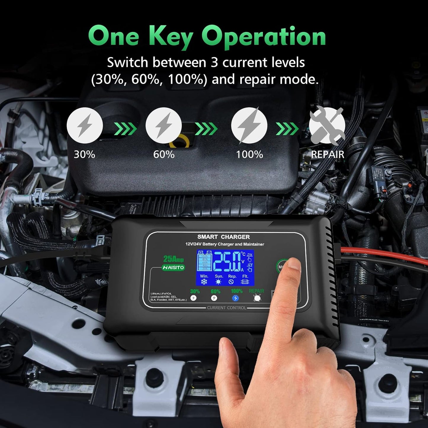 25 Amp Lithium Battery Charger, 12V and 24V Lifepo4,Lead-Acid(AGM/Gel/SLA..) Battery Charger,Battery Maintainer, Trickle Charger, and Battery Desulfator for Car,Boat,Motorcycle, Lawn Mower.