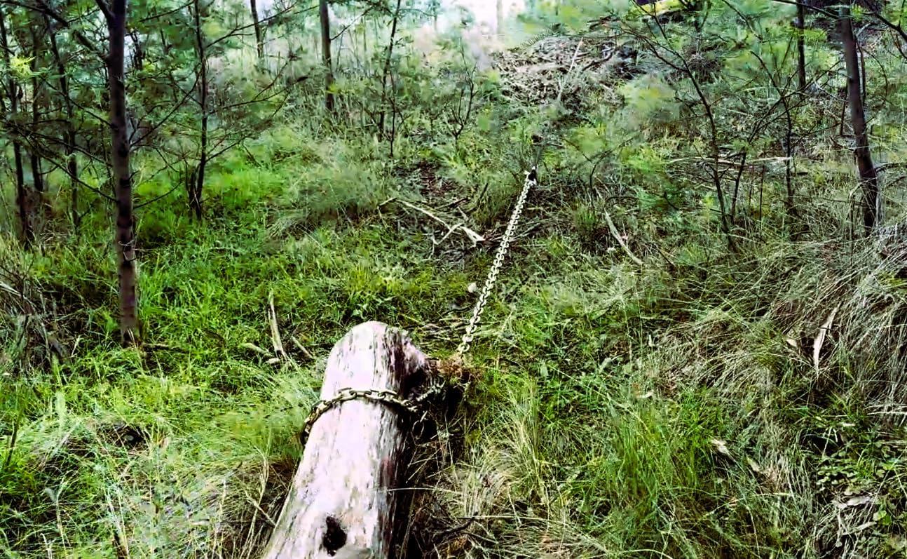 DOWN UNDER OUTDOORS Heavy Duty 3/8”x 10ft Grade 70 Recovery Log Chain, Deer Drag, with Grab and Slip Hooks WLL 6,600 Lbs, Includes Storage Bag for Gear