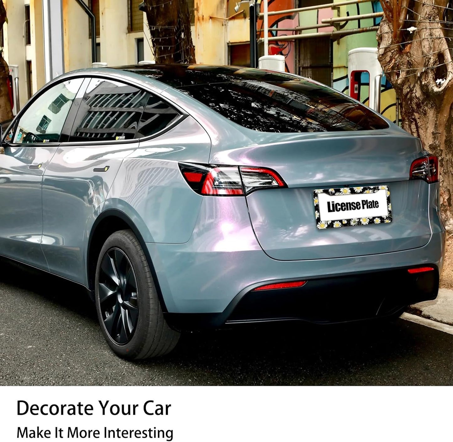 Daisy Flowers Car License Plate Frame, Flowers Print Tags Frames Holder Covers, Metal Aluminum Rustproof Car Accessories US Canada Standard with Screws for Women Men 6x12 Inch 2 Holes