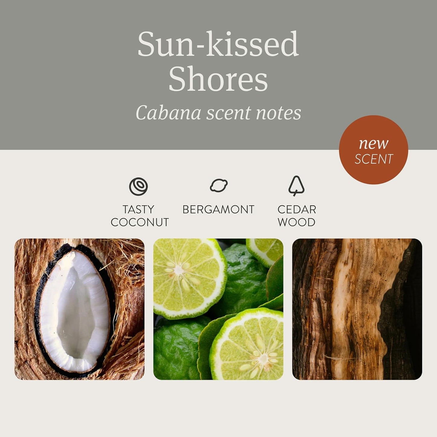 Drift Car Air Freshener - Stone Air Freshener - Car Odor Eliminator - Cabana Scent Starter Kit