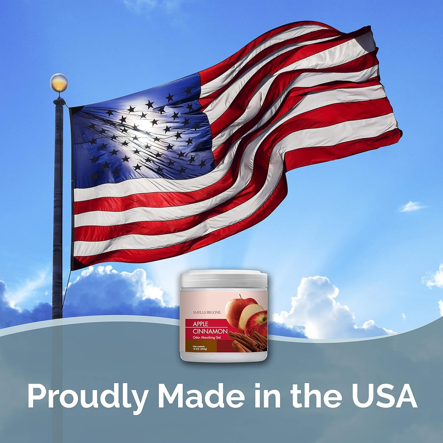 SMELLS BEGONE Air Freshener Odor Absorber Gel - 15 oz, Pack of 2 - Absorbs and Eliminates Odor in Pet Areas, Bathrooms, Cars, & Boats - Made with Essential Oils - Apple Cinnamon Scent