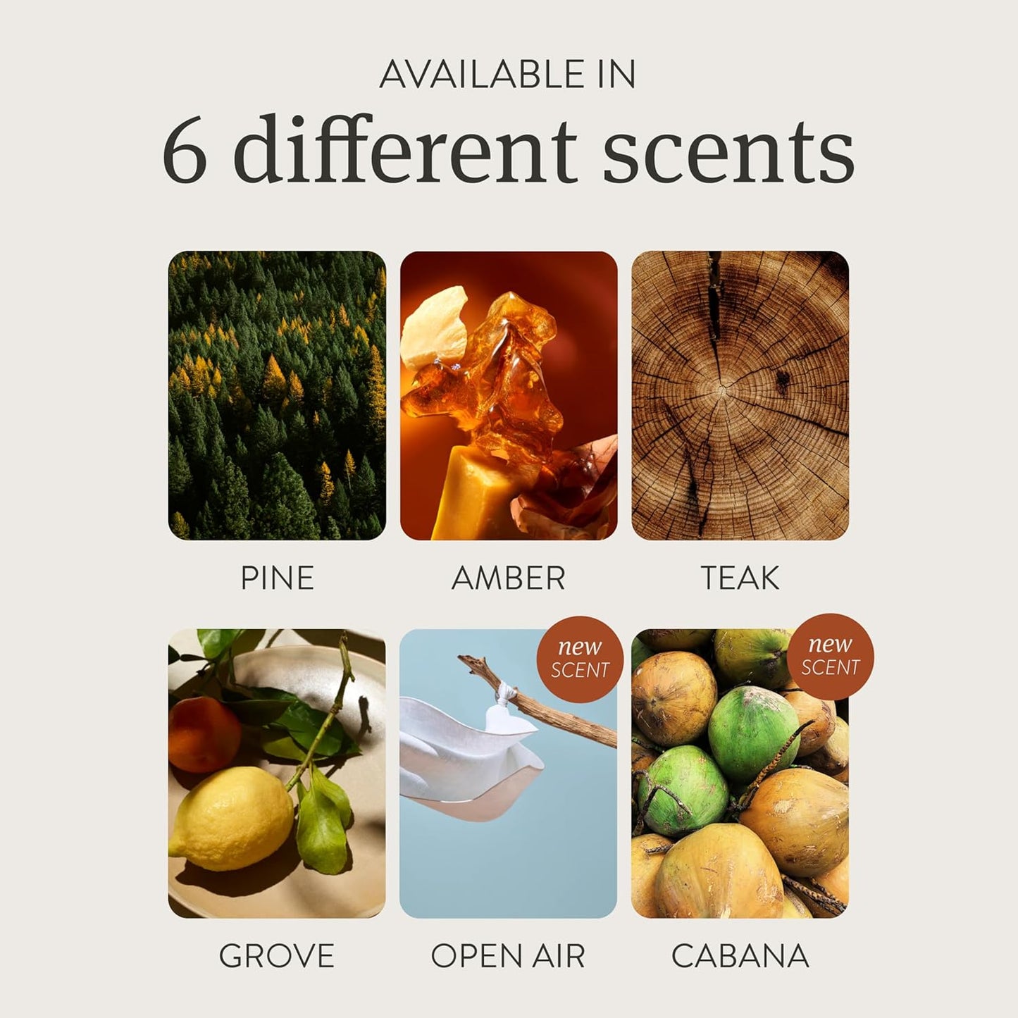 Drift Car Air Freshener - Wood Air Freshener - Car Odor Eliminator - Teak Scent Starter Kit