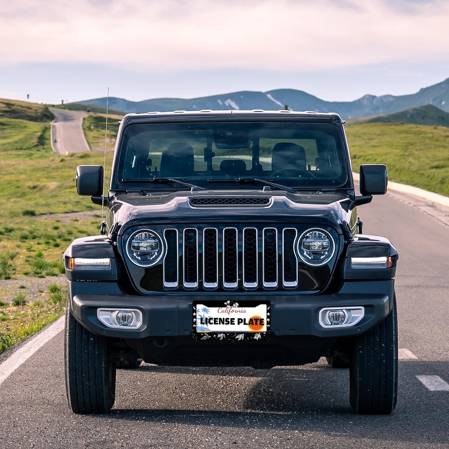 Turtle License Plate Frame Beach Shell Animal License Plate Holder for Front or Rear Car Tags Stainless Steel Funny Car Decoration with Screws 6.3 X 12.2 in